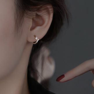 Fangxing Star Ear Buckle s925 Pure Silver Earrings for Women’s Niche Design, Light Luxury Style Earrings, New Summer Ear Accessories